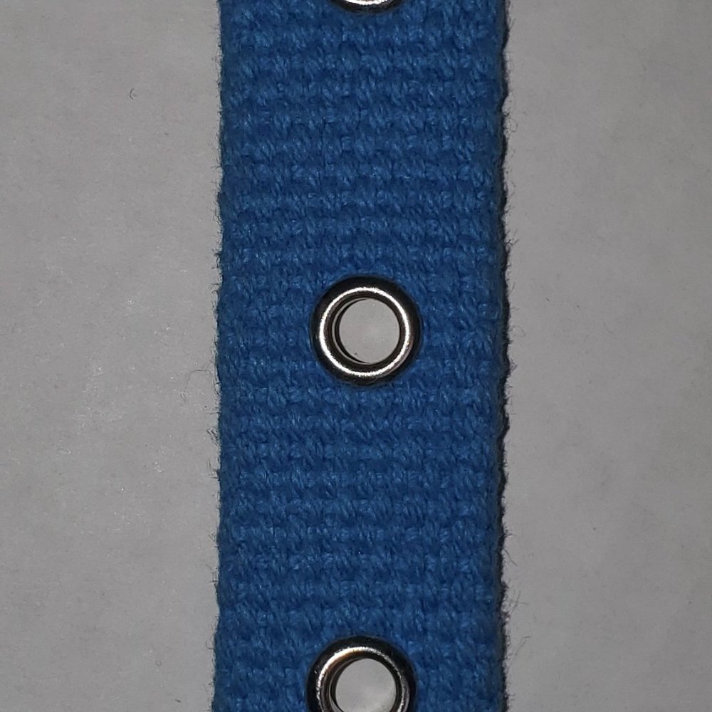 HTF Victoria Secret Pink RARE Dog Collar Vintage 2000's Aqua Blue Sooo Pretty - Picture 6 of 10